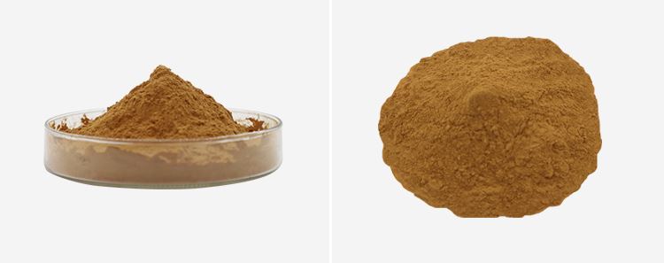 Cordycepin Powder 2