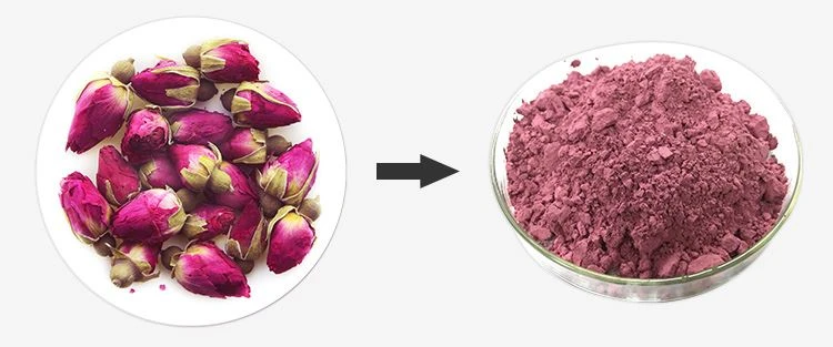 Rose Flower Powder 1