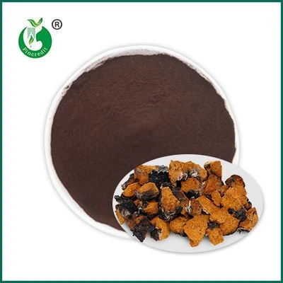 Σκόνη εκχυλίσματος Chaga