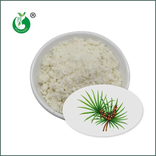 Εκχύλισμα σκόνης Saw Palmetto