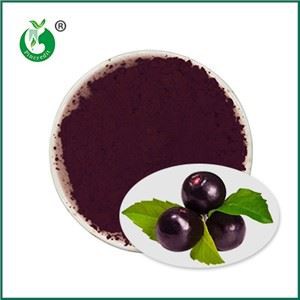 Καθαρή σκόνη Acai