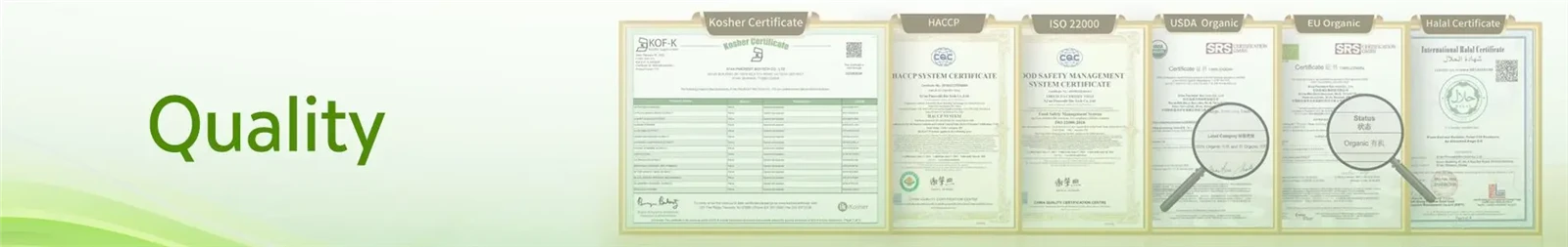 Quality Quality