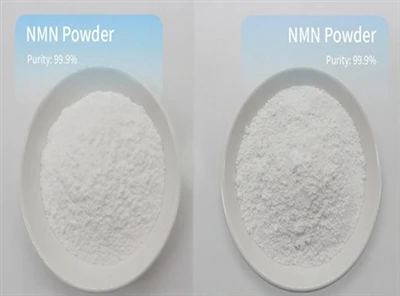 Το NMN Powder έχει απαγορευτεί;