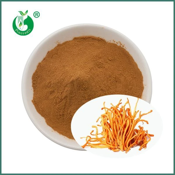 Εκχύλισμα Cordyceps Militaris