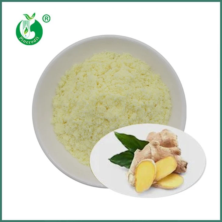 Σκόνη Gingerol