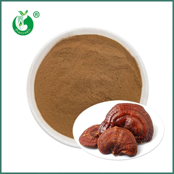 Σκόνη εκχυλίσματος Reishi