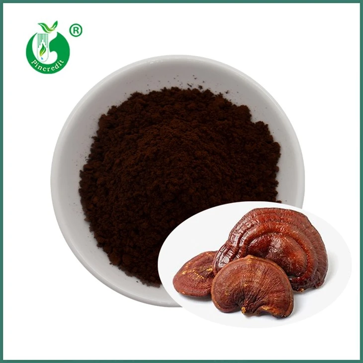 Reishi Spore Powder